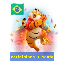 corinthians x santa cruz ao vivo hd