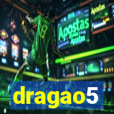 dragao5