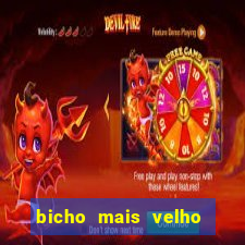 bicho mais velho da loteria dos sonhos