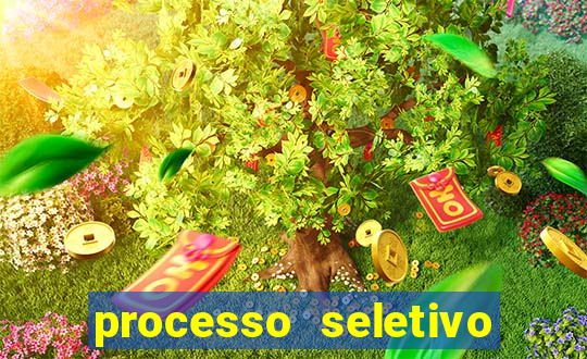 processo seletivo cerejeiras 2024