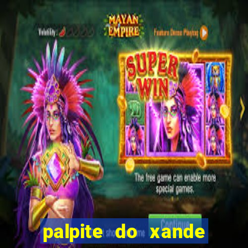 palpite do xande para hoje