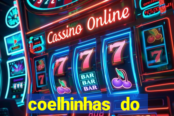 coelhinhas do brasil recife