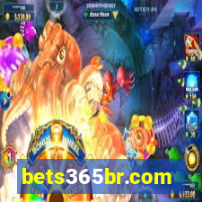 bets365br.com