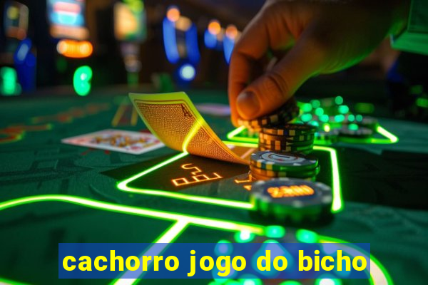 cachorro jogo do bicho