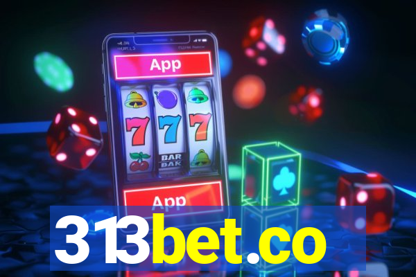 313bet.co