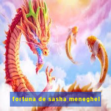 fortuna de sasha meneghel