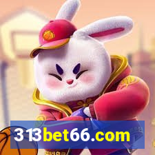 313bet66.com