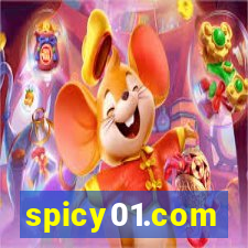 spicy01.com