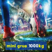 mini grua 1000kg