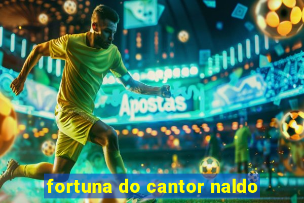 fortuna do cantor naldo