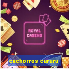 cachorros cururu