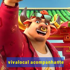 vivalocal acompanhante